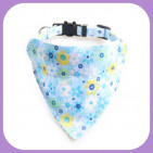 Collar-040